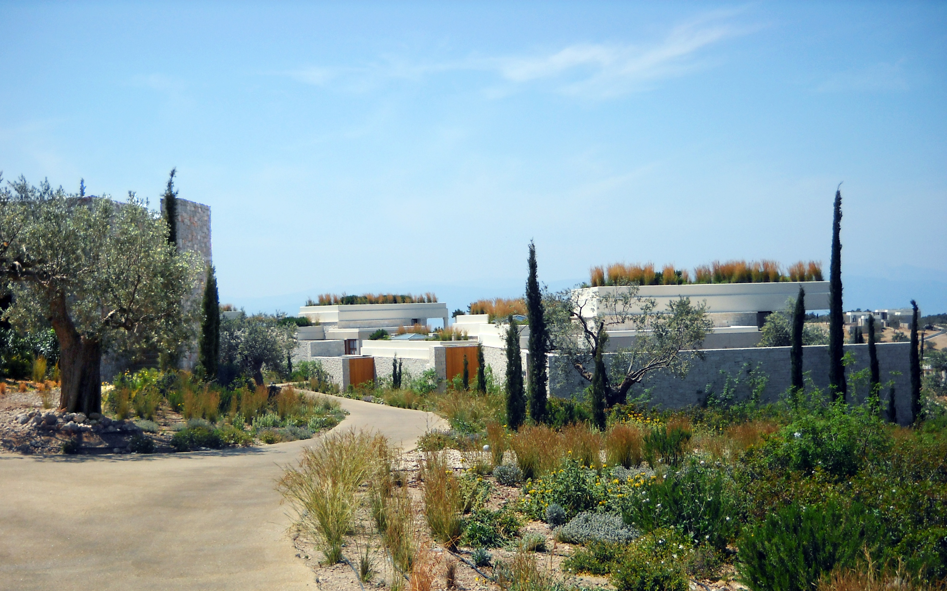 The vegetation on the roofs reflects the immediate natural surroundings. Green roofs with grasses in mediterranean landscape